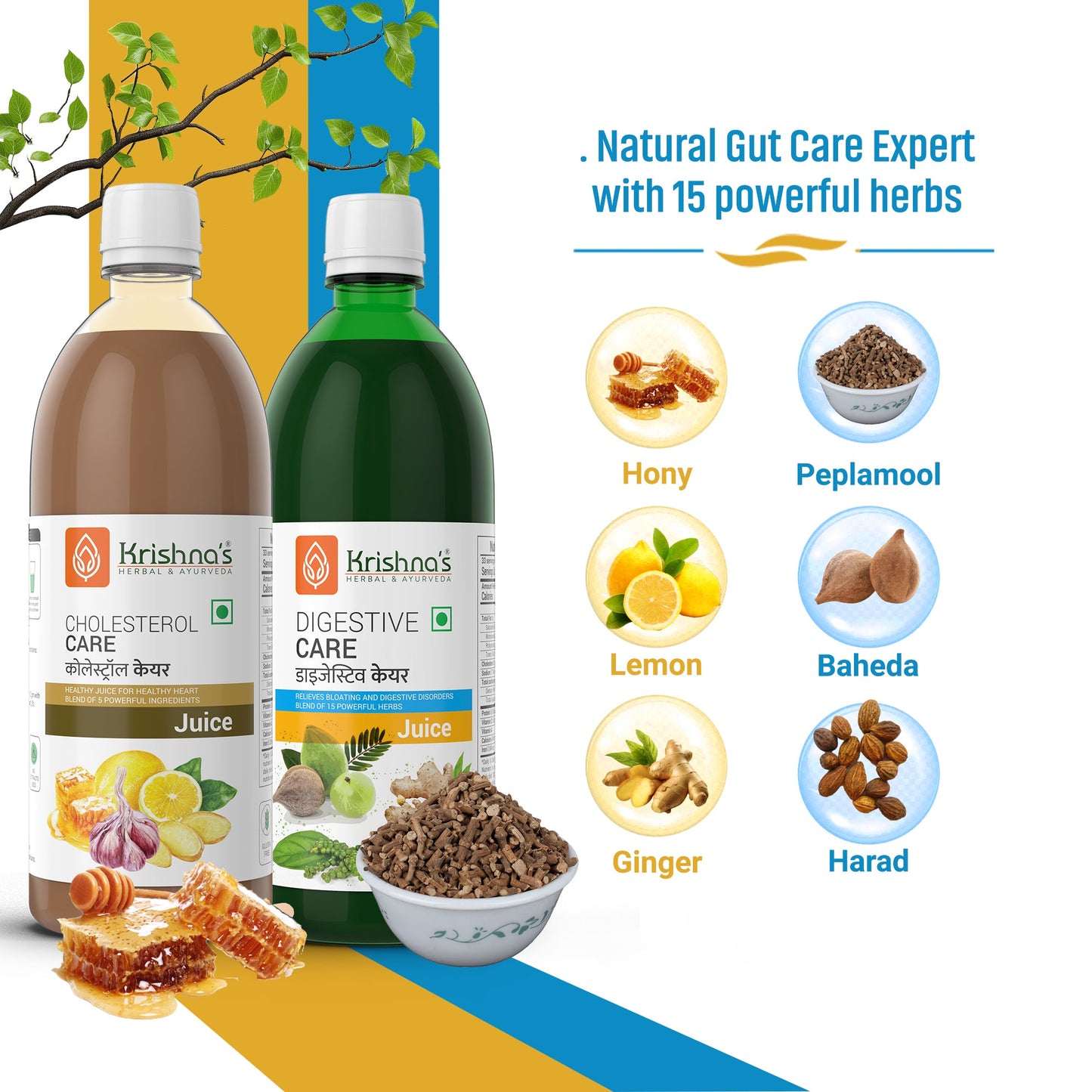 Digestive Care Juice 1000 ml | Cholesterol Care Juice 1000 ml