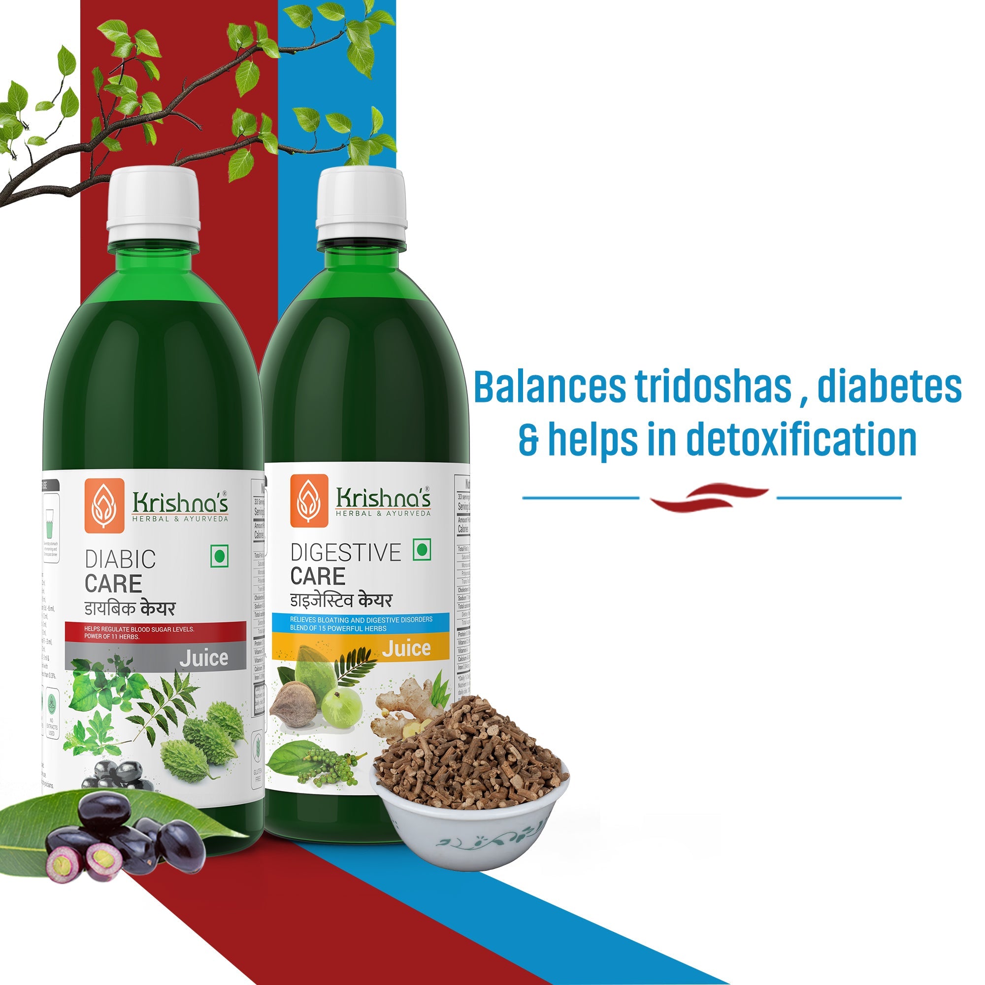Digestive Care Juice 1000 ml | Diabic Care Juice 1000 ml