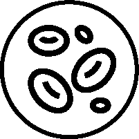 Improves Blood Circulation