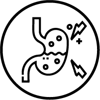 Improves the Digestive System