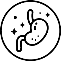 Manages Digestive Health