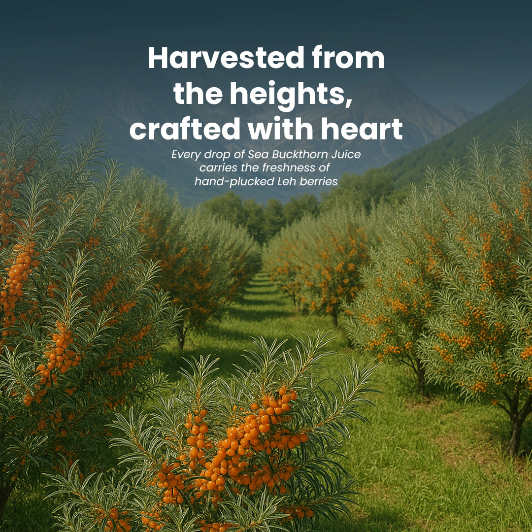 Sea Buckthorn Juice