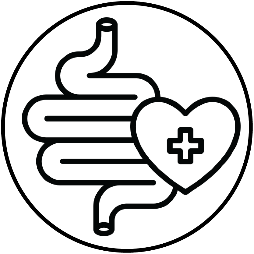 Strengthens the digestive system