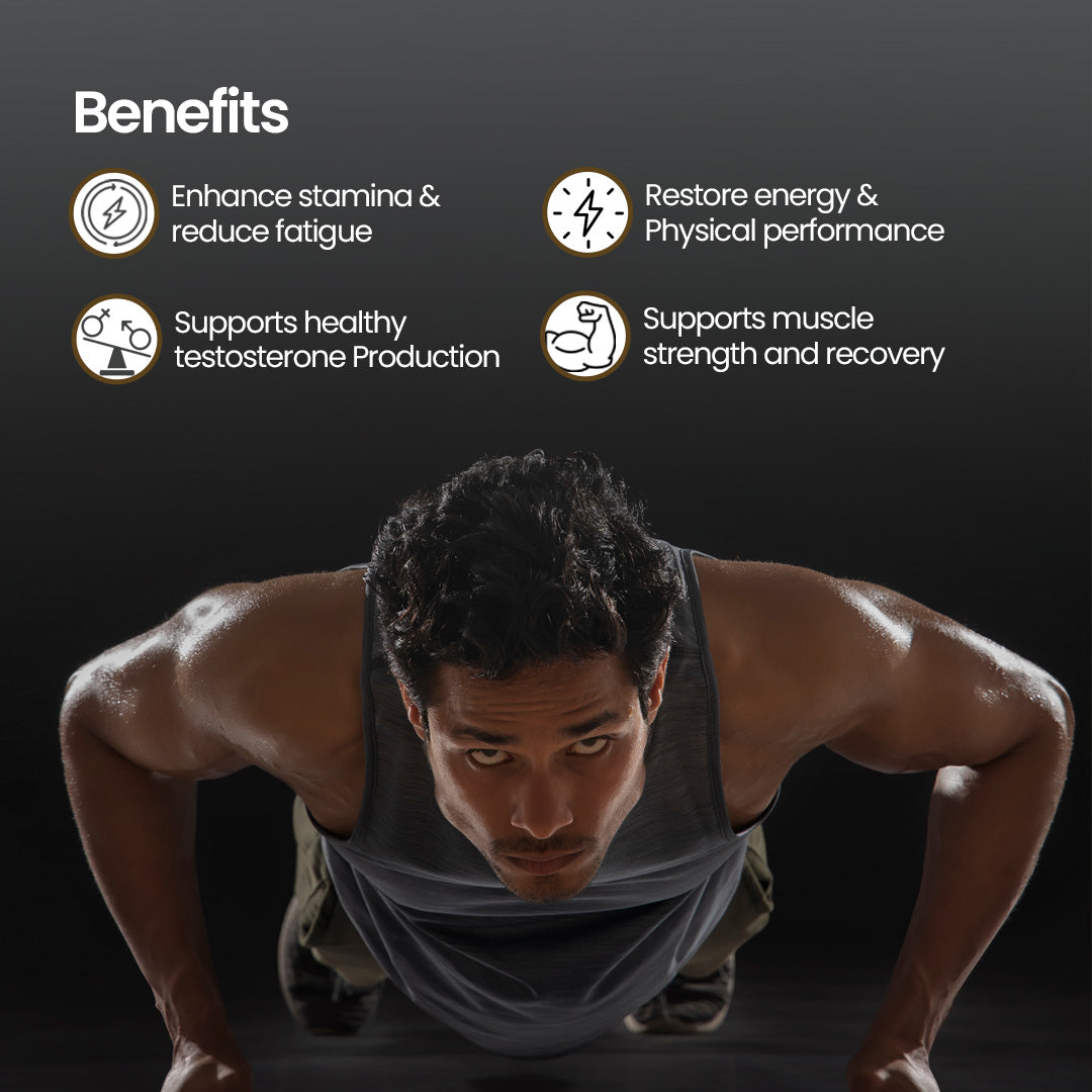 Shilajit Gold Plus Resin | 20 gm