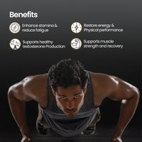 Shilajit Gold Plus Resin | 20 gm